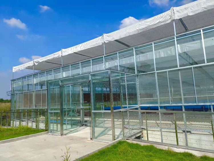 Talking about the four conditions for watering the crops in the greenhouse