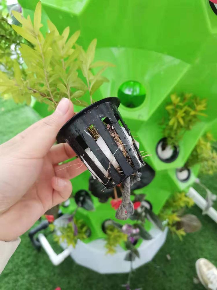 plastic greenhouse