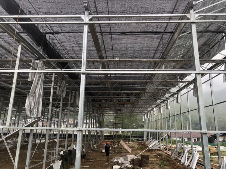 Glass Greenhouse Smart Sun Panel Greenhouse Glass Greenhouse Smart Sun Panel Greenhouse