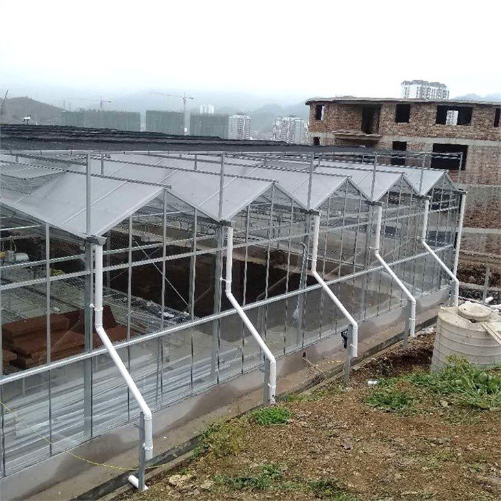 agricultural venlo type glass greenhouse supplier