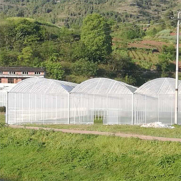 6 mil greenhouse plastic home depot made in china