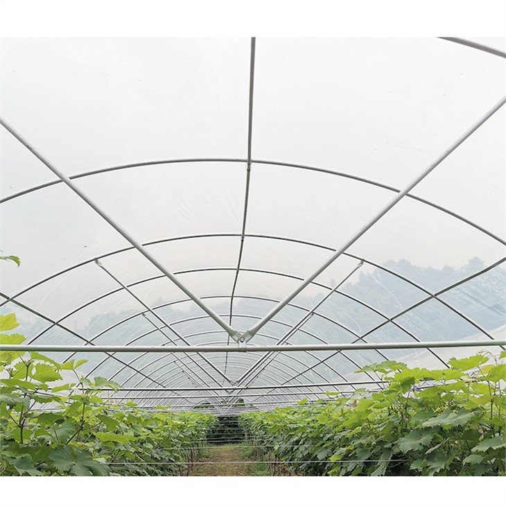 6 mil greenhouse plastic home depot manufacture