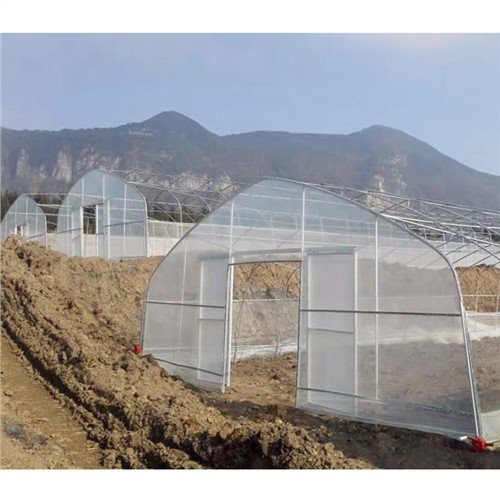 40x100 پلاستیک گلخانه ای