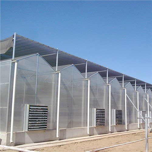 ورق PC گلخانه ای 4 میلیمتری