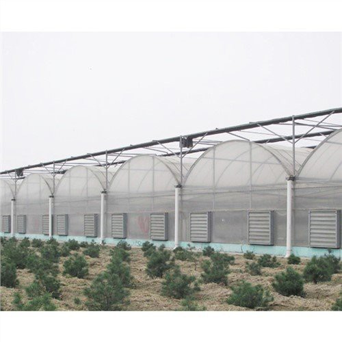 50 X 100 پلاستیک گلخانه ای