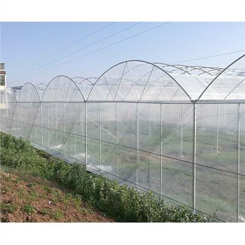 6 میل پلاستیک گلخانه ای