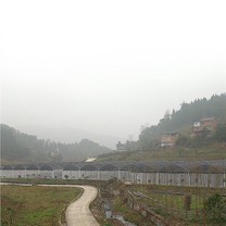 گلخانه Shade House