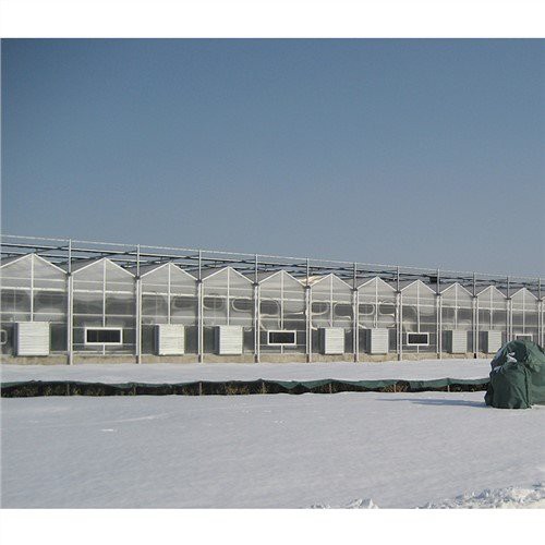 باغ کوچک گلخانه ای