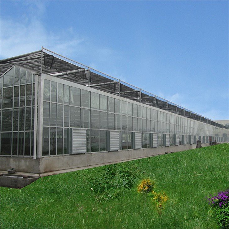 Transparent Multi Span Greenhouse price