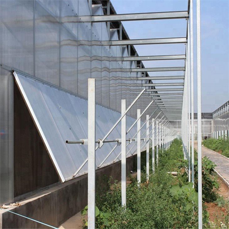 Venlo Style Glass Agricultural Greenhouse price
