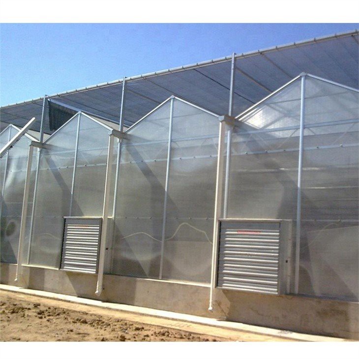 Venlo Style Glass Agricultural Greenhouse supplier