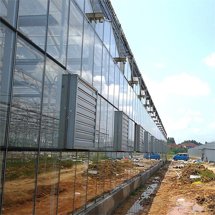 victorian glass venlo type greenhouse factory