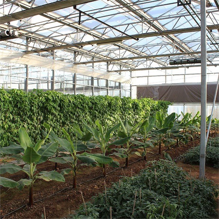 victorian glass venlo type greenhouse manufacture